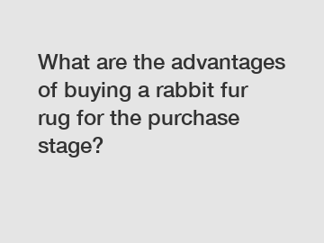 What are the advantages of buying a rabbit fur rug for the purchase stage?