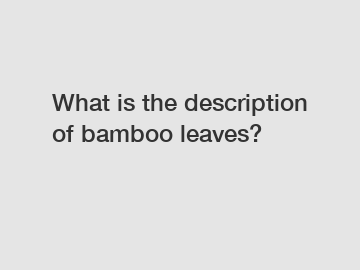 What is the description of bamboo leaves?
