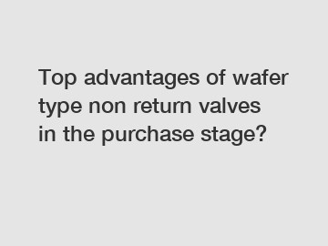 Top advantages of wafer type non return valves in the purchase stage?