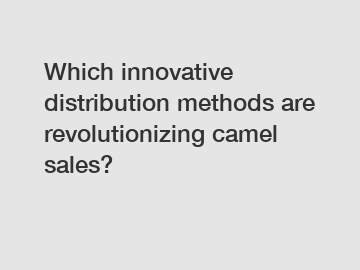 Which innovative distribution methods are revolutionizing camel sales?