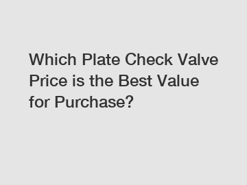 Which Plate Check Valve Price is the Best Value for Purchase?