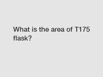 What is the area of T175 flask?