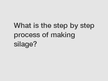 What is the step by step process of making silage?