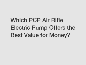 Which PCP Air Rifle Electric Pump Offers the Best Value for Money?