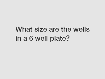 What size are the wells in a 6 well plate?