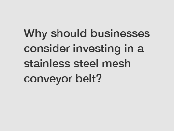 Why should businesses consider investing in a stainless steel mesh conveyor belt?