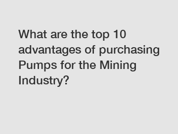 What are the top 10 advantages of purchasing Pumps for the Mining Industry?