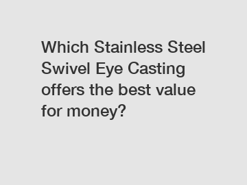 Which Stainless Steel Swivel Eye Casting offers the best value for money?